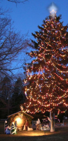 Picture